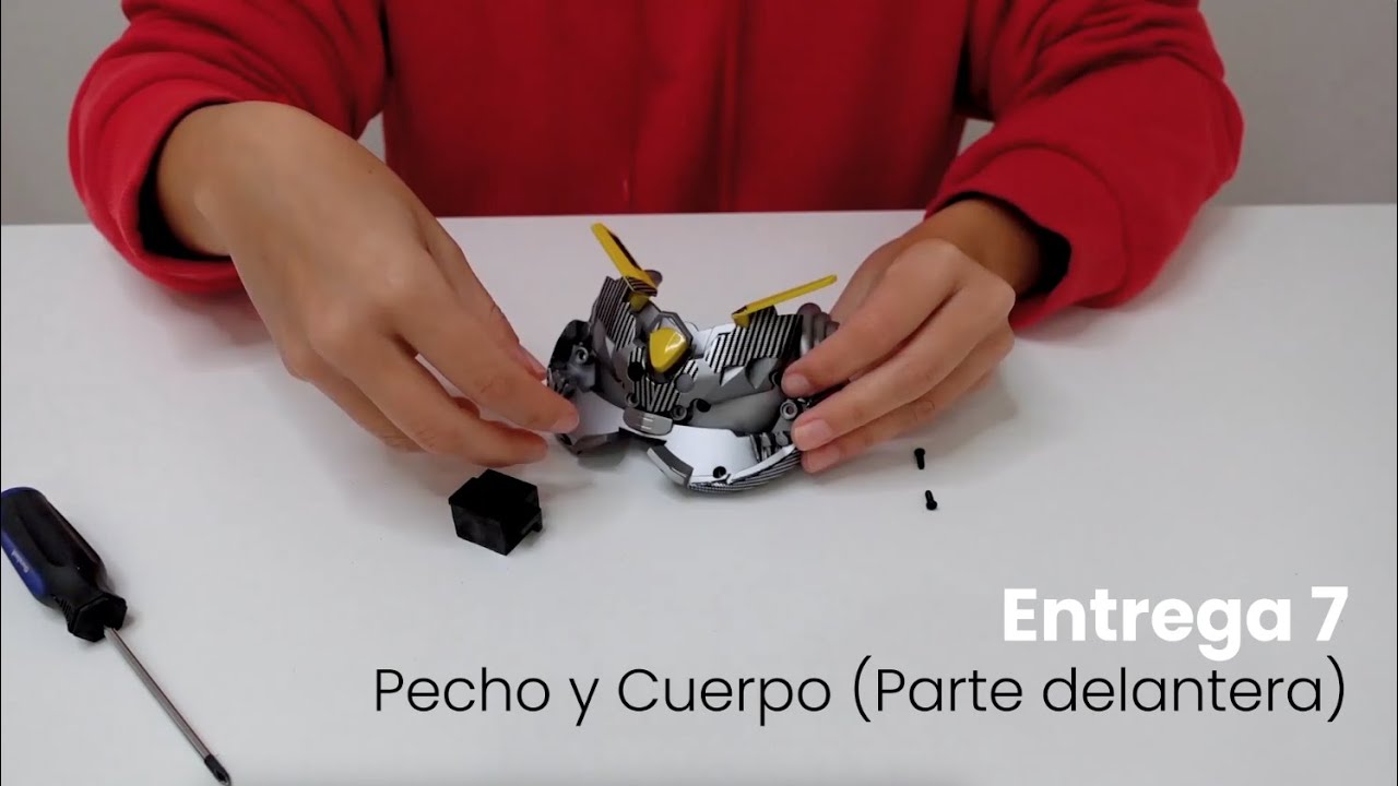 Entrega 7 Pecho y cuerpo parte delantera