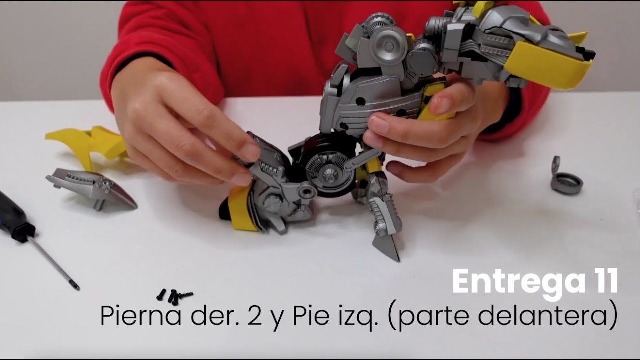 Entrega 11 Pierna dcha y pie izq