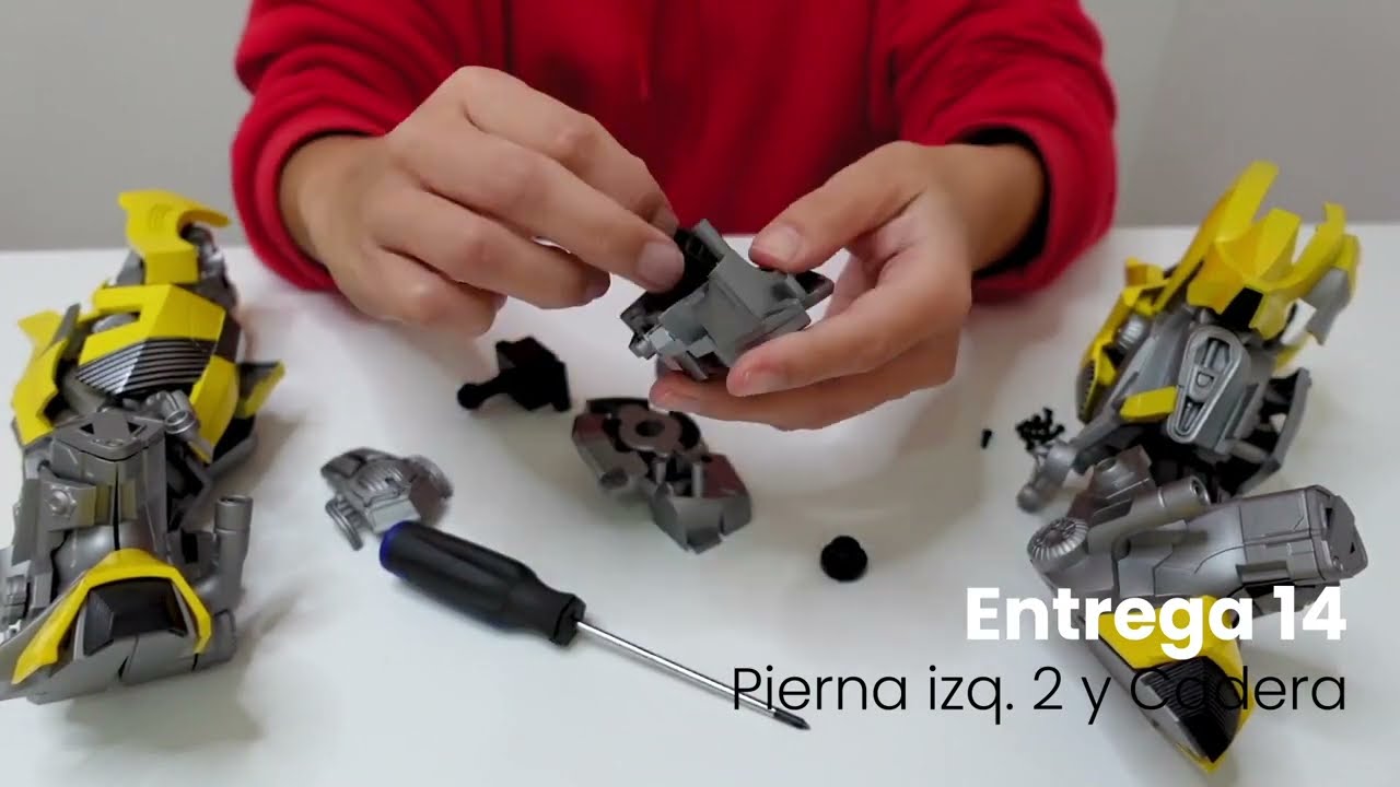 Paso a paso Colección Bumblebee