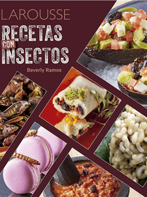 Recetas con insectos
