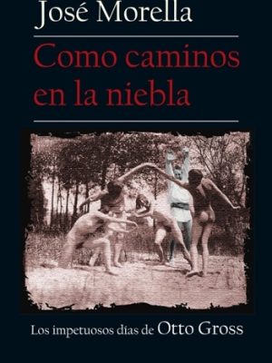 Como caminos en la niebla