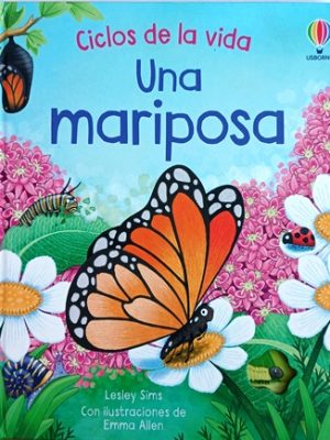 Ciclos de La Vida - Una Mariposa